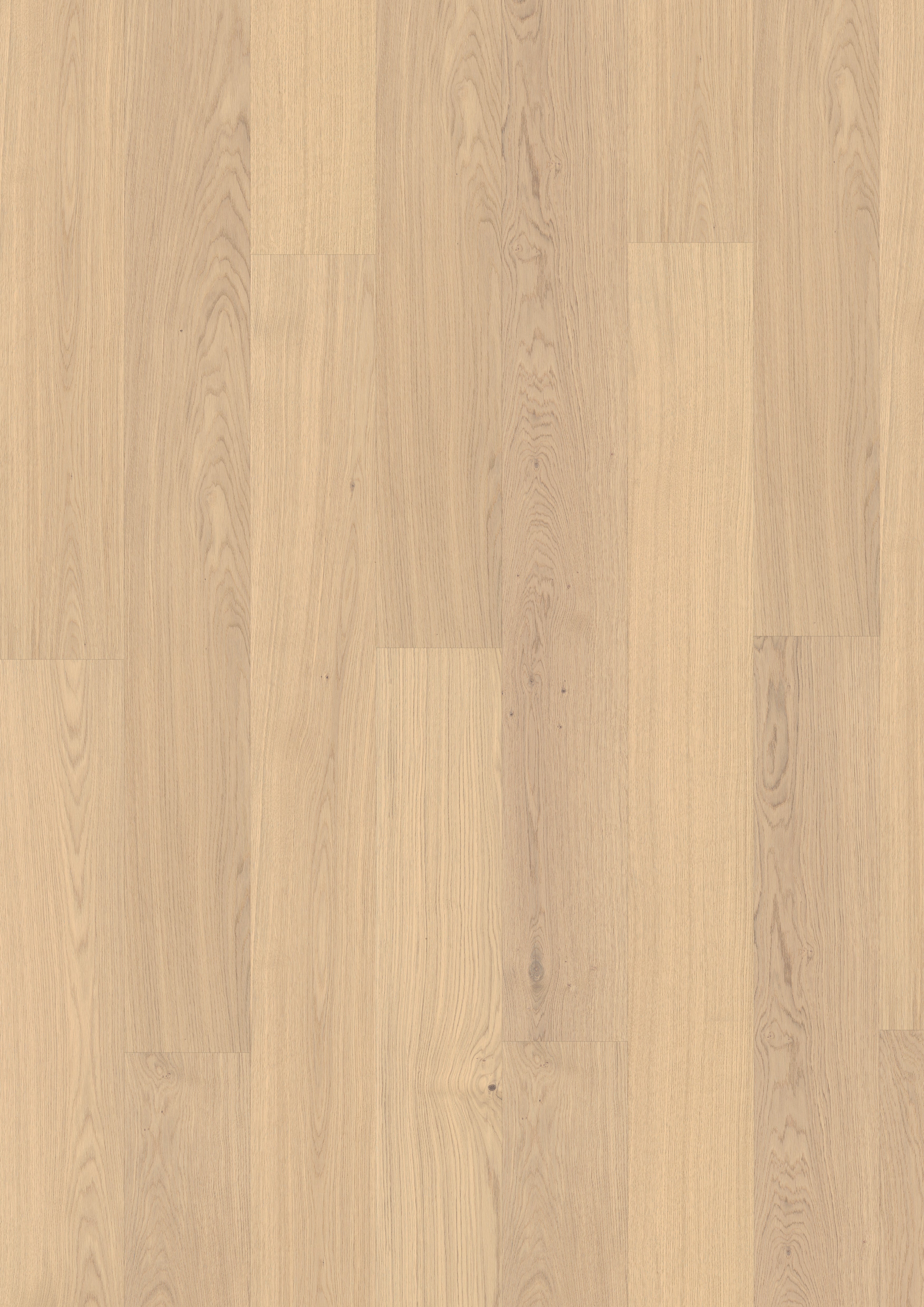 Golvabia Maxwood XL Oak Nature Raw lankkuparketti pintakuvio