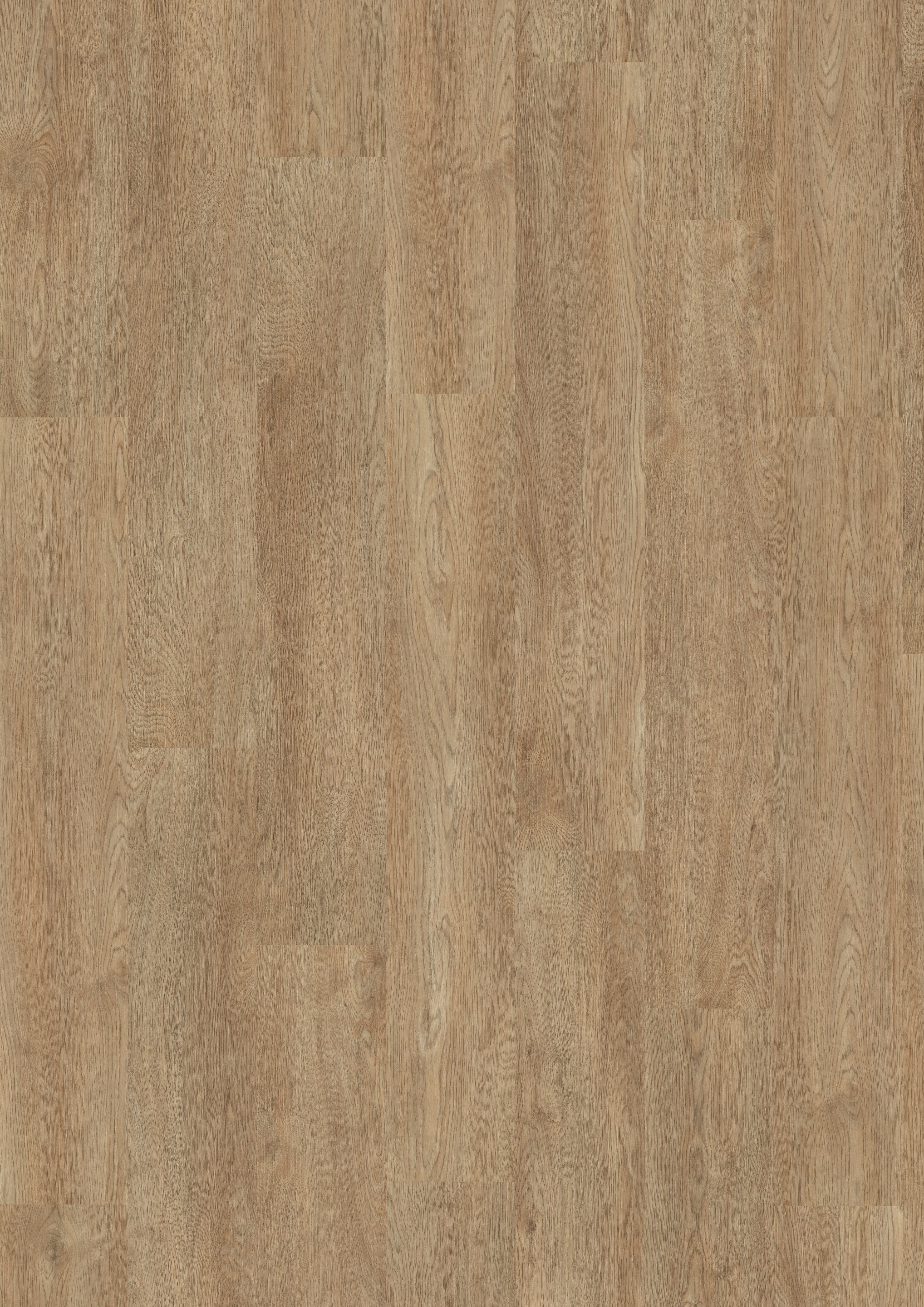 Golvabia Maxwear Oak Classic vinyylikorkkilattia mallipala