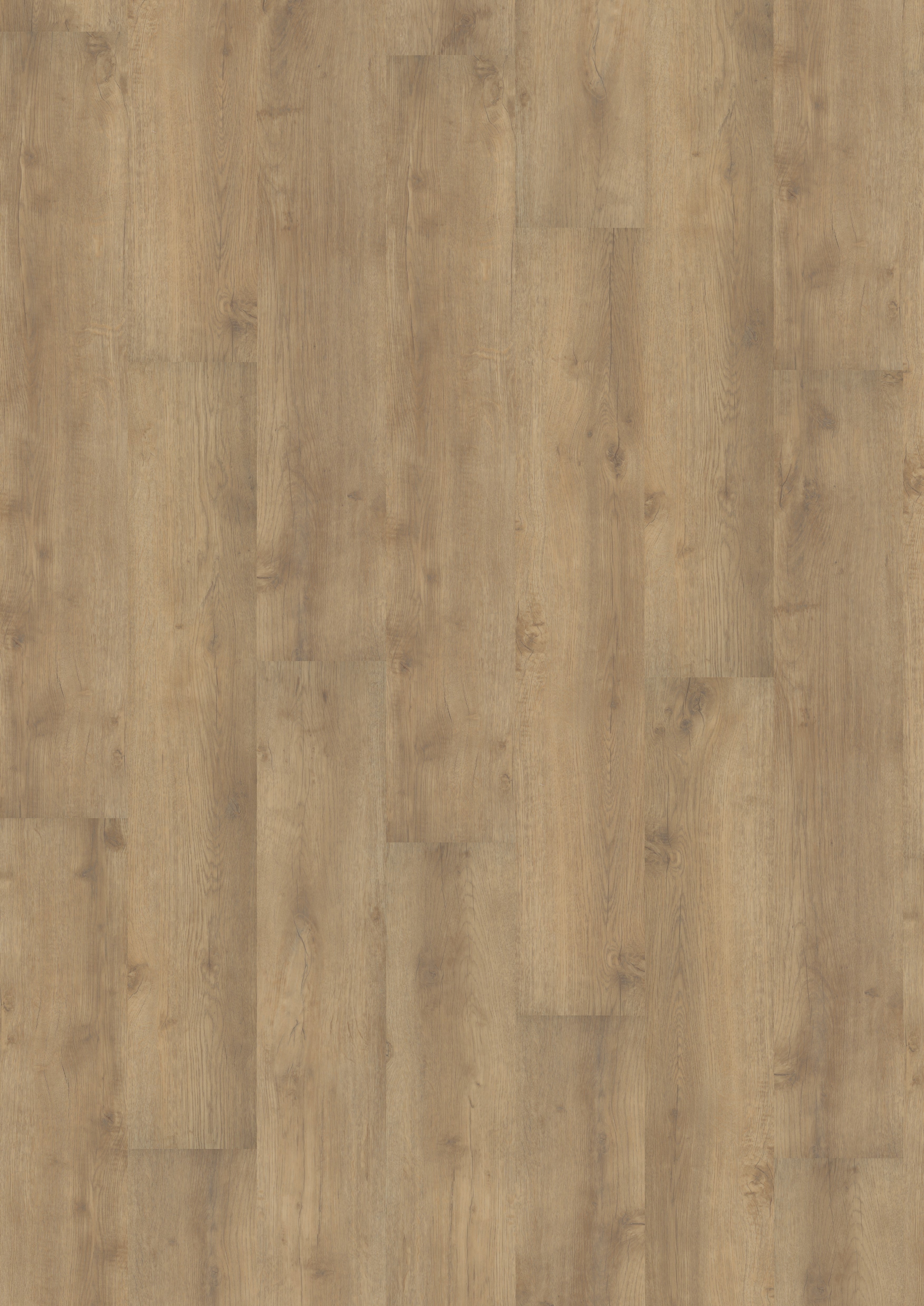 Golvabia Maxwear Oak Sand vinyylikorkkilattia pintakuvio