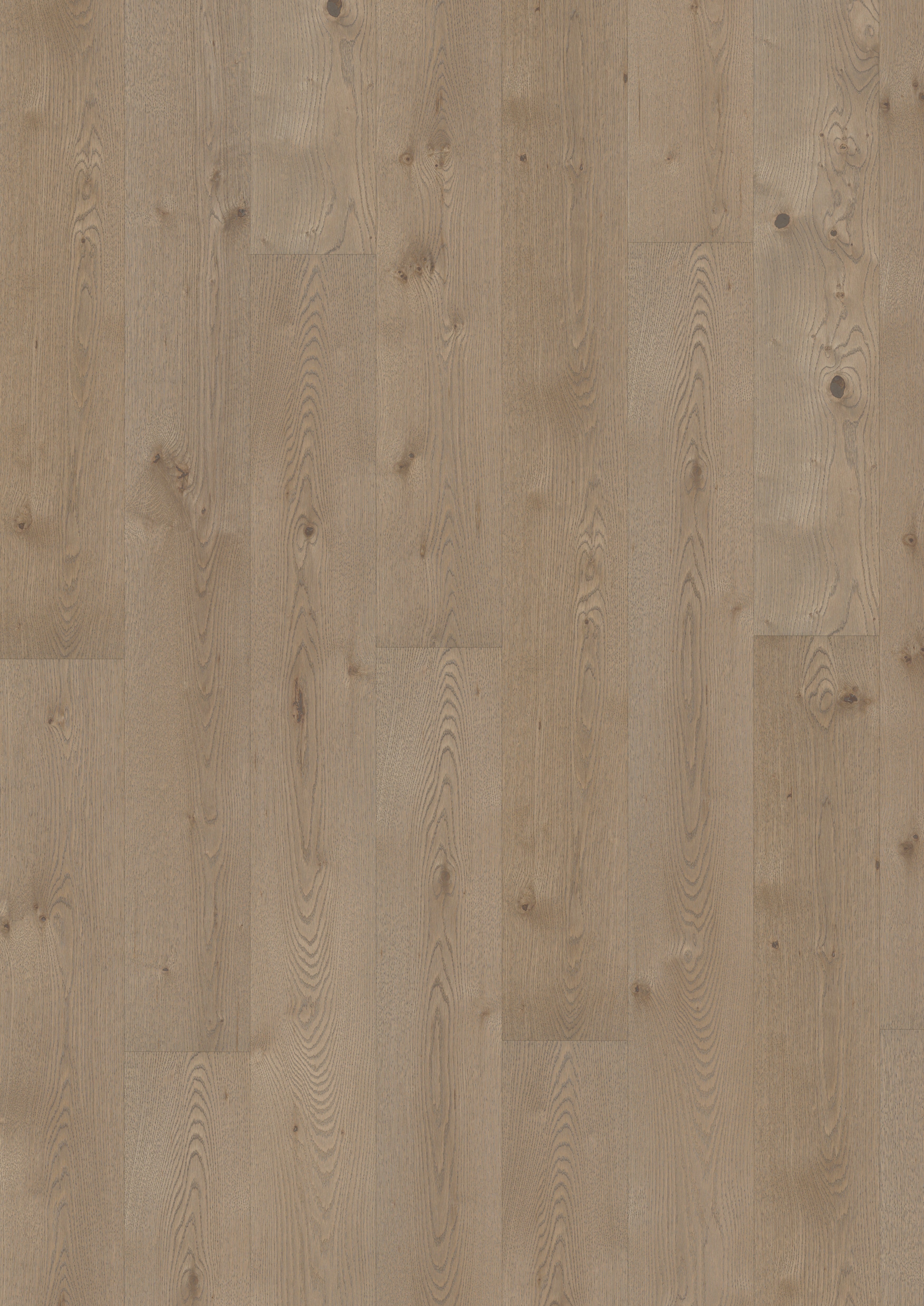 Golvabia Maxwood XL Unique Elegant Grey lankkuparketti mallipala
